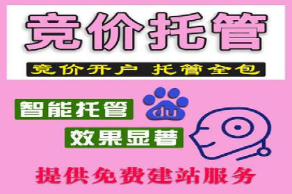 竞价开户的技巧与策略：企业必看案例分析